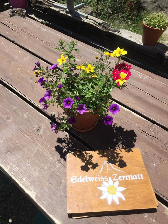 Edelweiss Mountain Guest House - 1 hour hike up from Zermatt station - On hiking trail - No transport in Zermatt, Alpes valaisannes