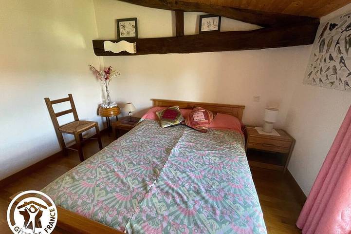 Gîte pour 6 personnes, avec piscine et jardin à Damvix - 4