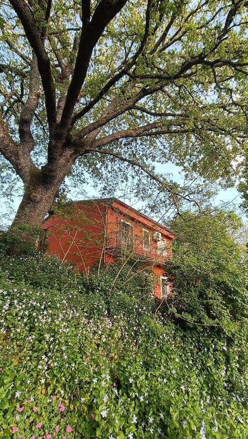 Chambre d’hôte pour 2 personnes, avec Terrasse ainsi que Jardin et Vue à Austis