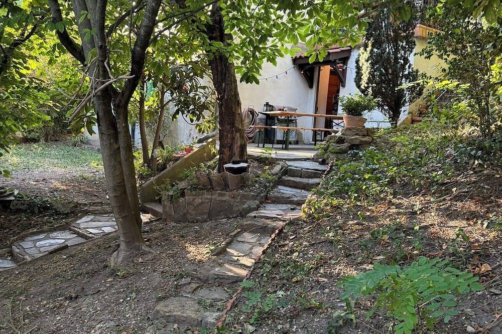 Complete accommodation in a green area in the heart of the city in Fourvière, Lyon