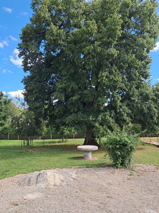 Gîte pour 2 personnes, avec Terrasse et Vue à Pont-d'Ouilly