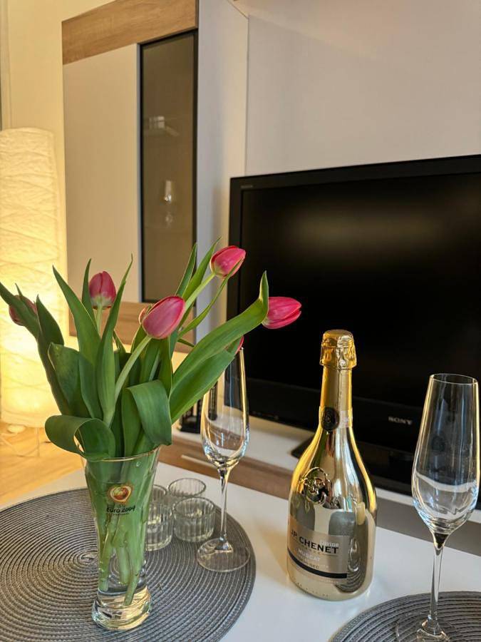 Cały apartament, One-Bedroom Apartment in Ruda Śląska, Śląsk