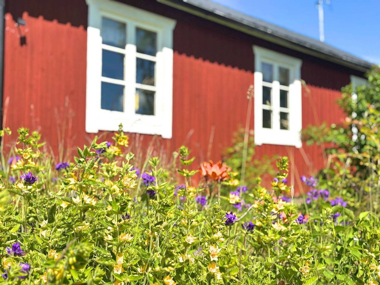 Rustikales Ferienhaus Hus Hammerstand in Jämtland – Naturnah und einfach in Jämtland