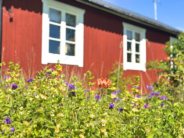 Ferienhaus für 3 Personen, mit Garten und Ausblick in Nordschweden - 2