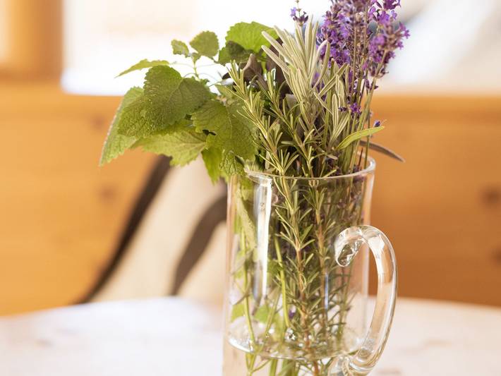Hotel für 2 Personen, mit Ausblick und Garten, mit Haustier in Schenna - 4