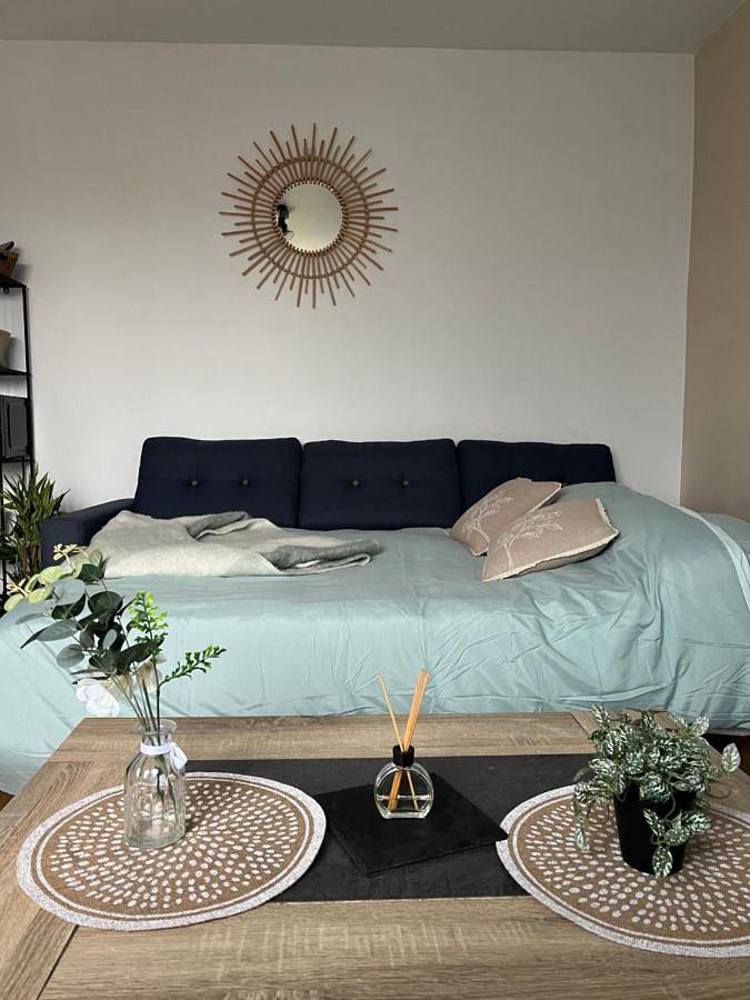 Appartement entier, One-Bedroom Apartment in Ambilly, Région de Saint-Julien-en-Genevois