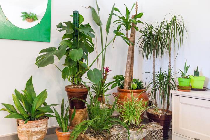 Ferienwohnung für 2 Personen in Costa Barcelona - 3