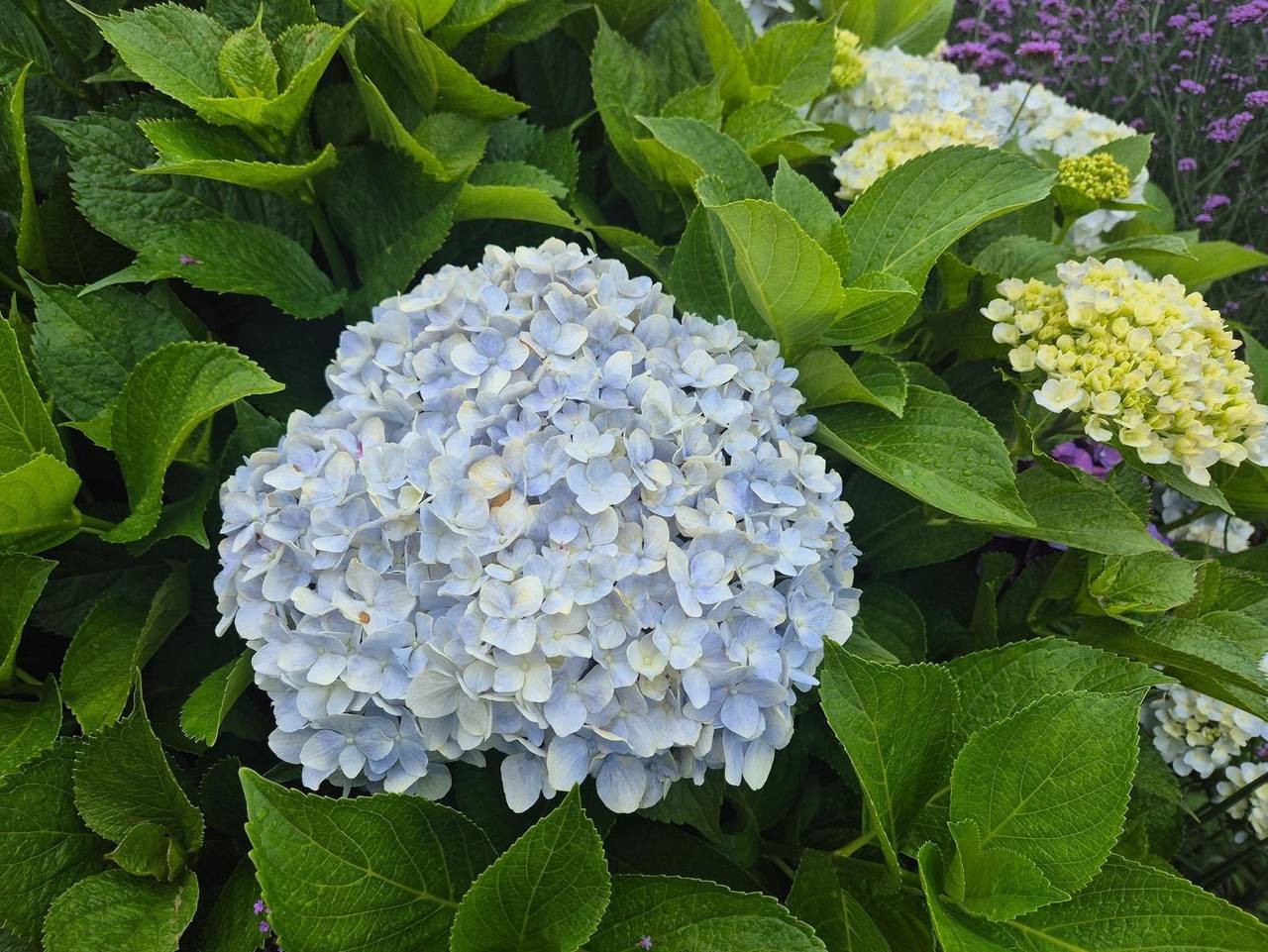 East Side von A&M - East Side in Kampen (Sylt), Sylt