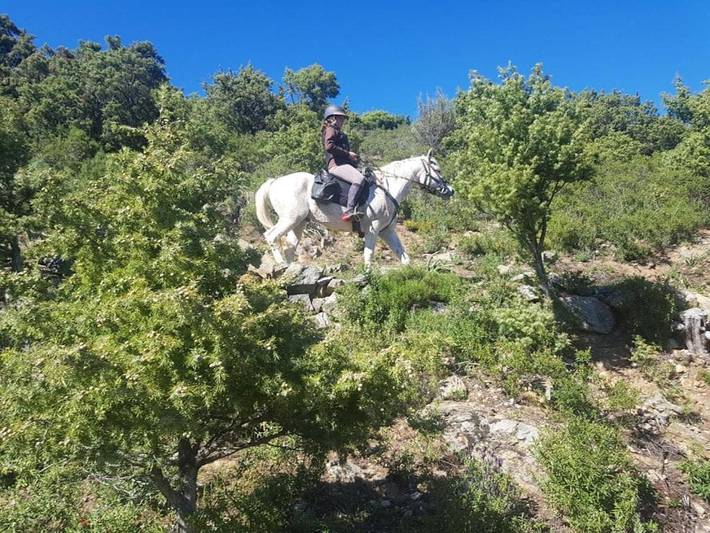 Gîte pour 6 personnes, avec vue et balcon à Moltifao - 3