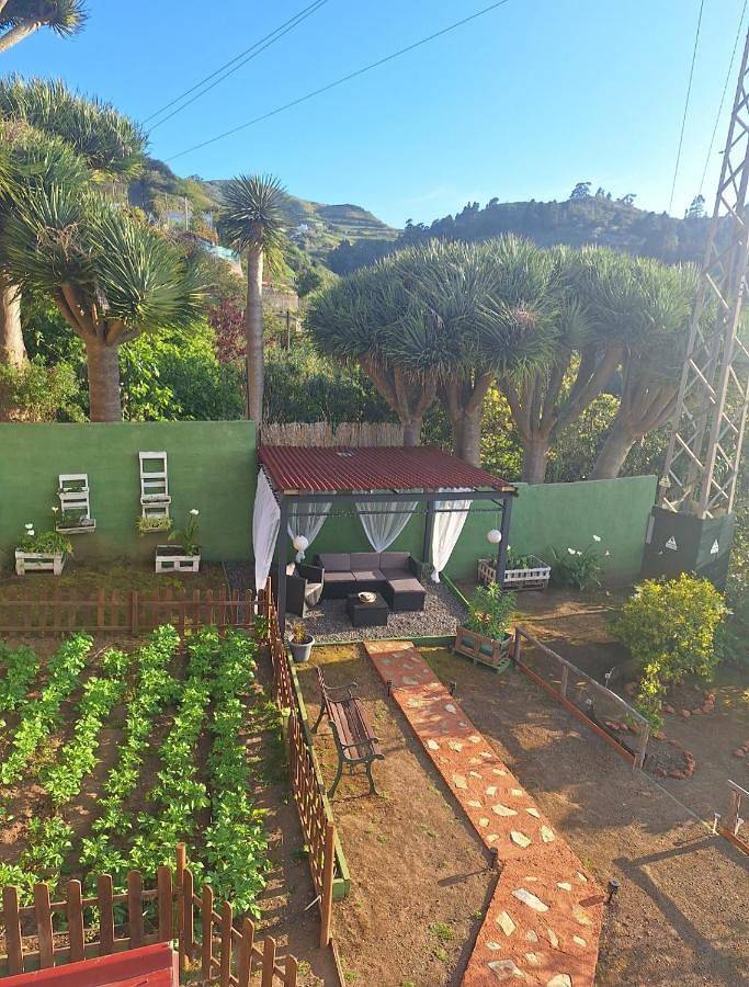 Casa rural para 6 personas, con piscina además de vistas y jardín, Se admiten mascotas en Santa María de Guía de Gran Canaria - 4