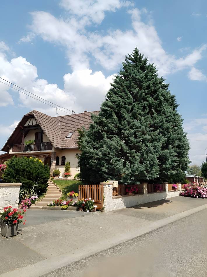 Chambre d’hôte pour 4 personnes, avec balcon et jardin, adapté aux familles en Alsace