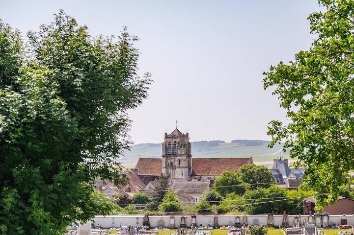 Location de vacances pour 10 personnes, avec terrasse ainsi que piscine et jardin à Saint-Bris-le-Vineux - 2