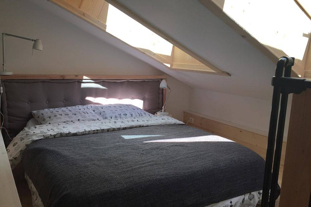 Entire apartment, Old Delphinal Castle - coach house studio apartment in Le Bourg-d'Oisans, Écrins National Park