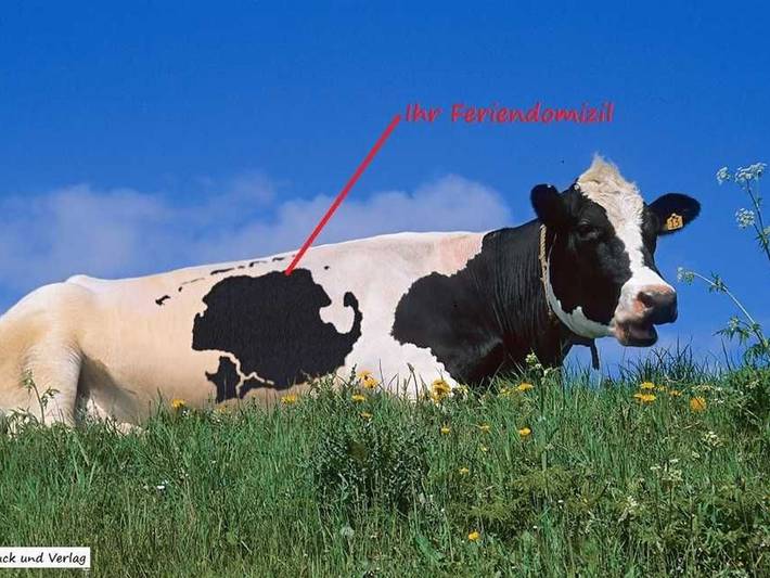 Ferienwohnung für 2 Personen, mit Terrasse und Garten in Carolinensiel - 2