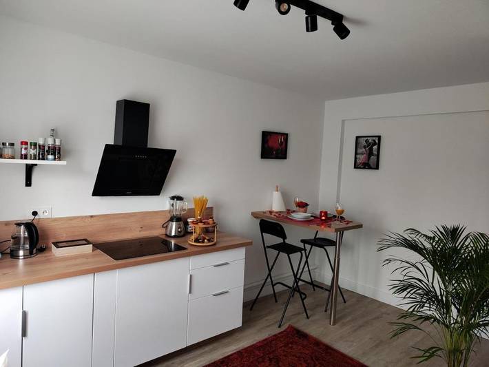 Gîte pour 2 personnes, avec jacuzzi et jardin à Mulhouse - 4