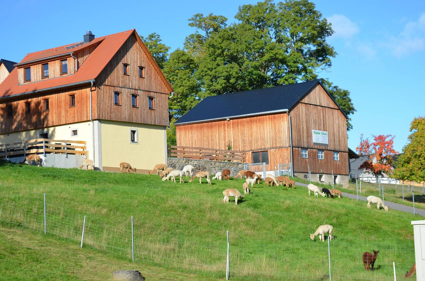 Ferienhaus in Frauenstein, Chemnitz und Umgebung