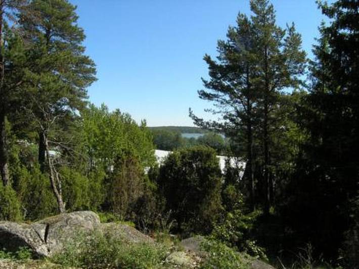 Metsämarja in Finlande propre