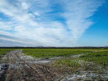 Bauernhof für 4 Personen in Herzberg (Elster), Elster & Umgebung, Bild 3