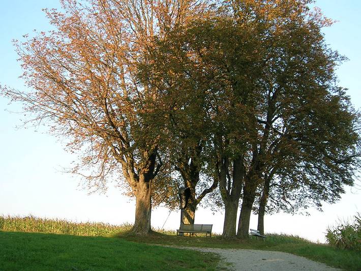 Ganze Wohnung, Mesnerhof - Ferienwohnung III mit gemütlicher Ess- und Sitzecke und WLAN in Bayerbach, Bayerische Golf und Thermenland