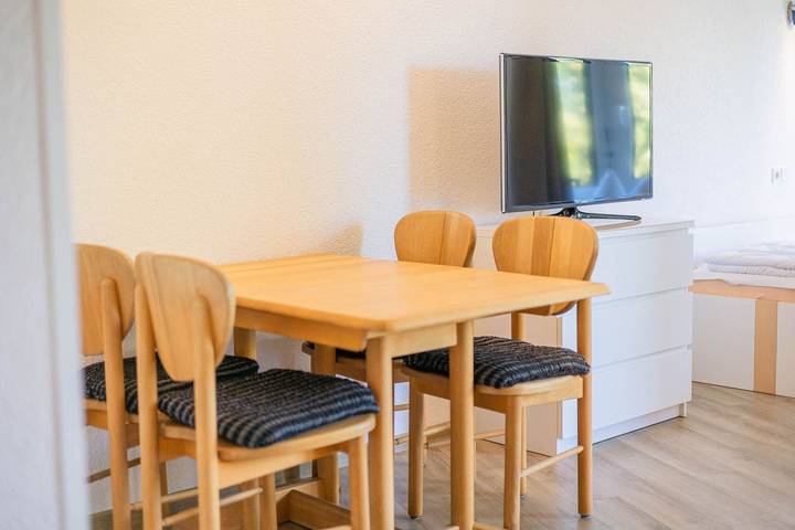 Ganze Wohnung, 1-Zimmer-Apartment (Typ 2 in Immenstaad am Bodensee, Region Bodensee-Oberschwaben