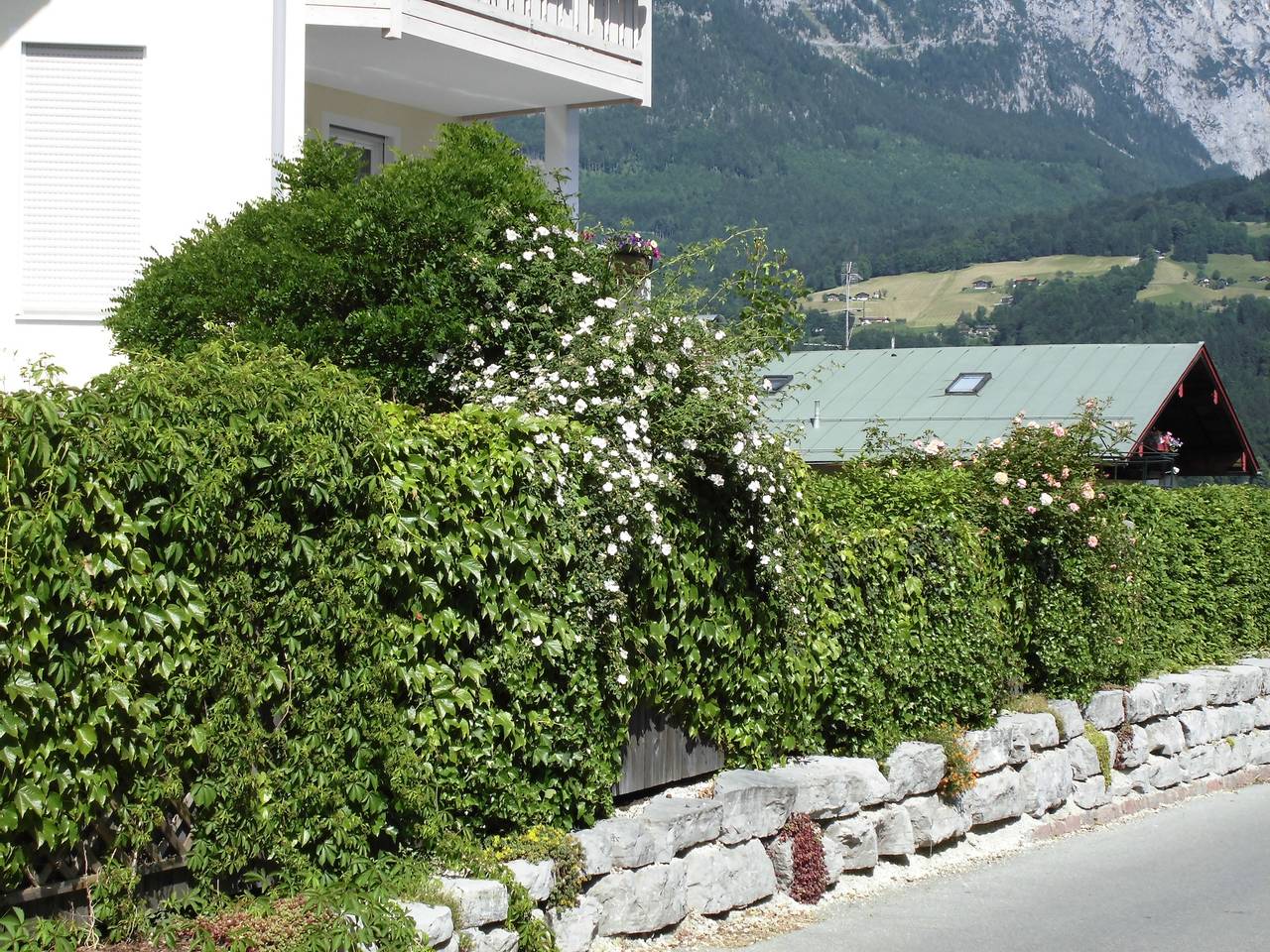 Ganze Ferienwohnung, Fewo Bavaria - Ferienwohnung mit Terrasse für 2 Personen in Schönau am Königssee, Berchtesgadener Alpen