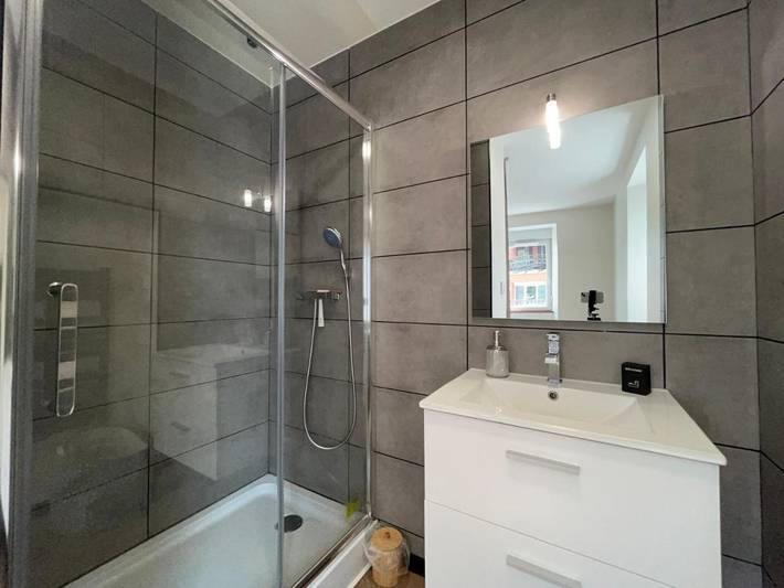 Gîte pour 4 personnes, avec terrasse à La Roche-sur-Foron - 4