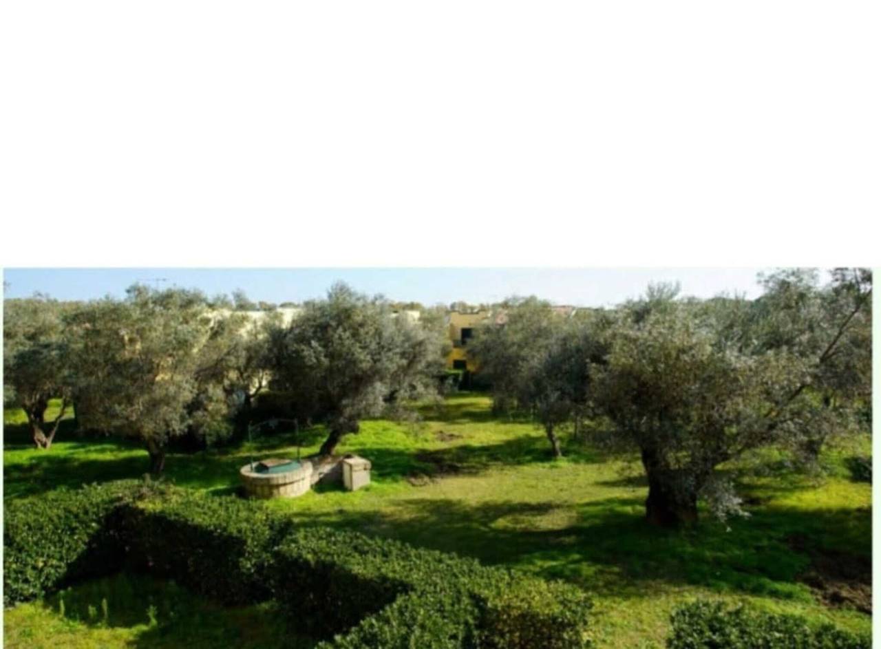 Appartement entier, Appartement 'Tra Ulivi E Mare' avec jardin commun, Wi-Fi et climatisation in Sant'Andrea Apostolo dello Ionio, Province de Catanzaro