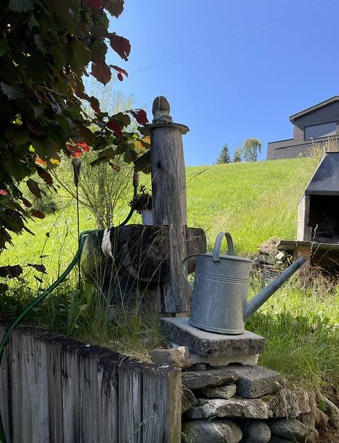 Apartamento vacacional entero, Ferienwohnung Chalet Selfranga - 4.5 Zimmer Ferienwohnung im Chalet Selfranga in Luzein, Plessur alps
