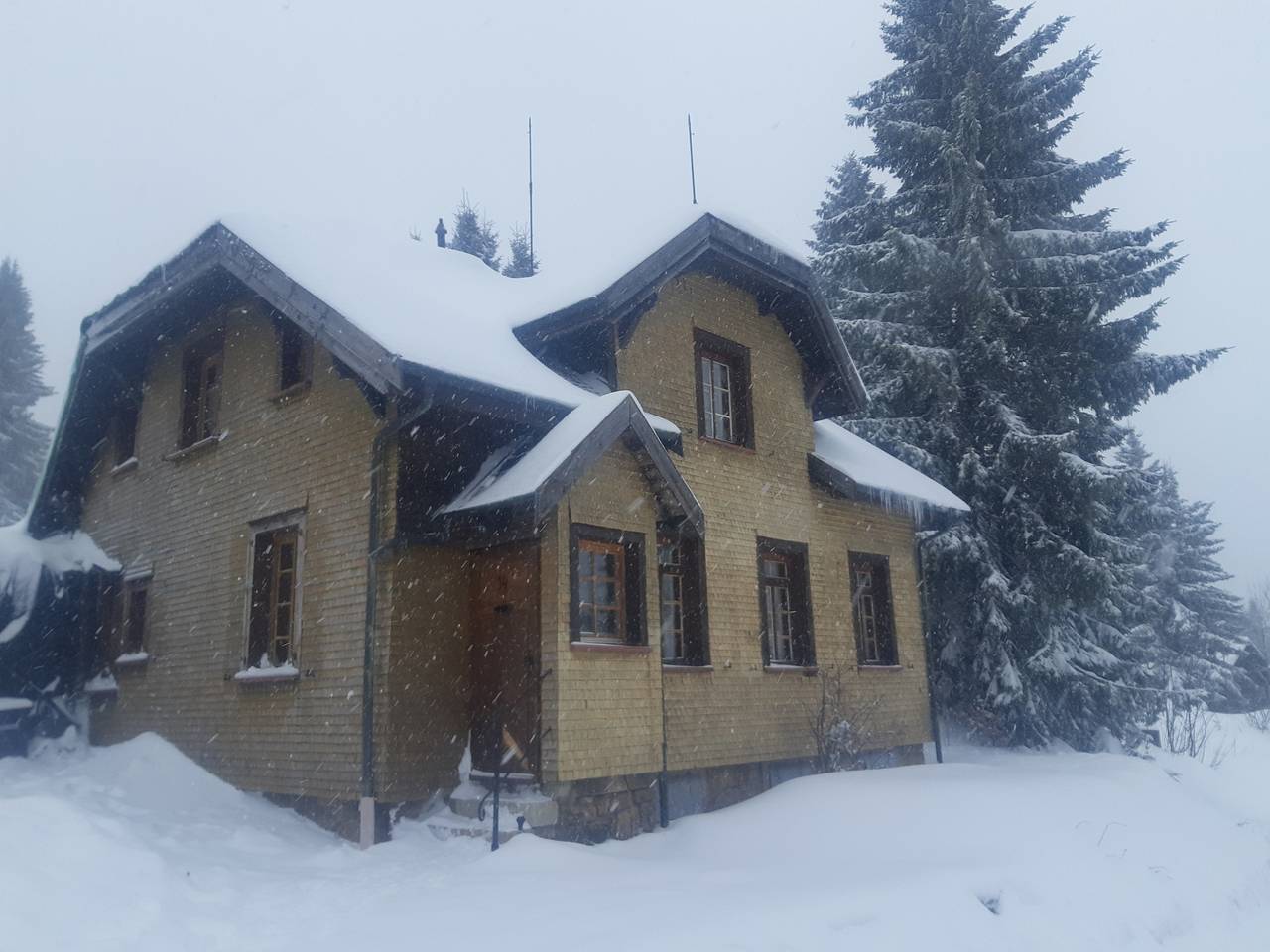 Ferienhaus "Posthäusle" - Feldberg in Feldberg Ort, Feldberg