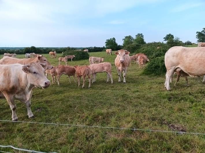 Location de vacances pour 8 personnes, avec jardin et jacuzzi à La Verrie - 2