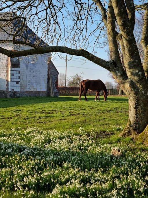 Location de vacances pour 2 personnes, avec jacuzzi ainsi que jardin et terrasse à Saint-Martin-le-Gaillard - 2