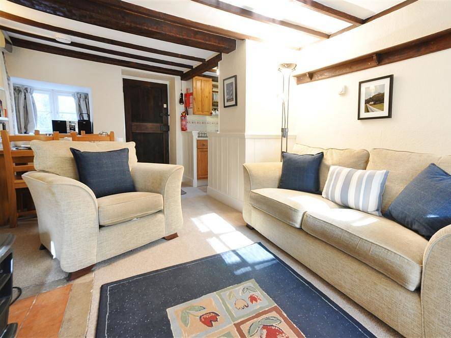 Little Ivy in Lulworth Cove, Dorset