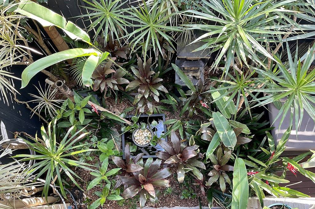 Byron Schauer - 5-Sterne-Retreat in Byron Bay, New South Wales