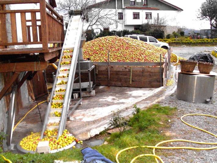 Casa rural para 5 personas, con jardín, Se admiten mascotas en Donostialdea - 4