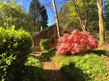 Gîte pour 4 personnes, avec jardin ainsi que vue et terrasse, animaux acceptés dans Constantine
