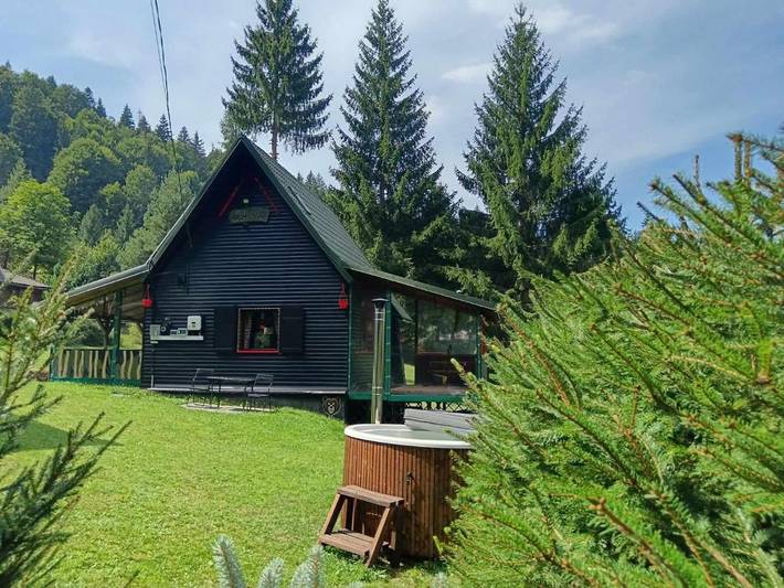 Gîte pour 8 personnes, avec vue et jardin, animaux acceptés dans Mureș