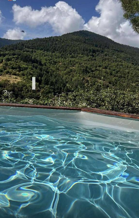 Gîte pour 3 personnes, avec jardin et vue ainsi que piscine et bassin pour enfant dans Saint-Julien-Vocance - 3