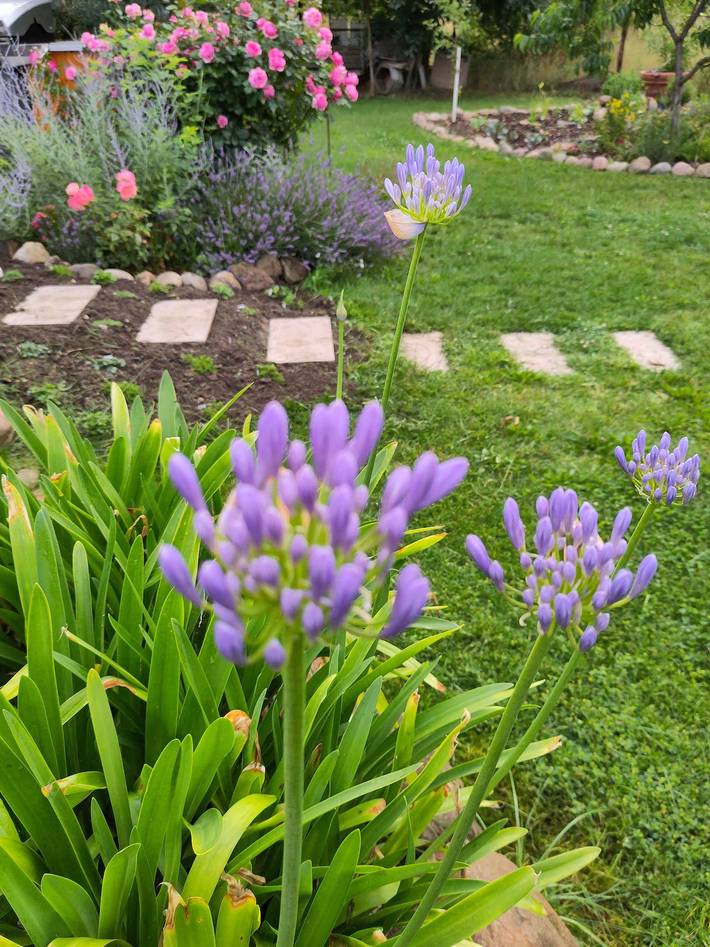 Ferienwohnung für 2 Personen, mit Garten in Märkische Schweiz - 2