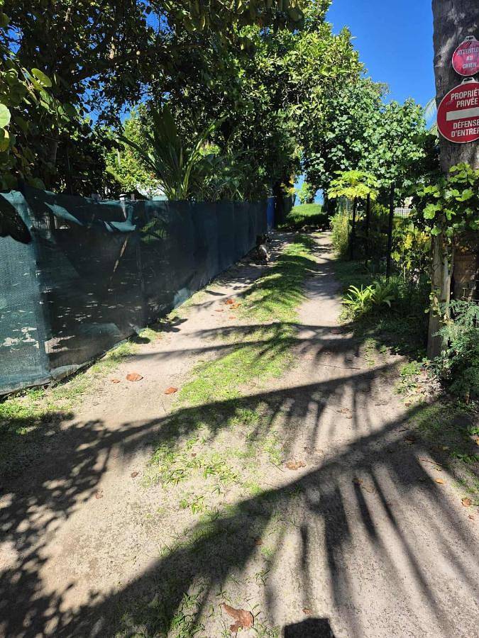 Maison d’hôte pour 2 personnes, avec terrasse ainsi que jardin et vue dans Ha'apiti - 2