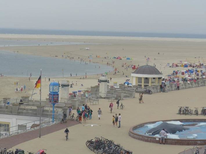 Ferienhaus für 5 Personen, mit Balkon, mit Haustier auf Borkum - 4