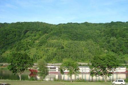 Ferienwohnung für 3 Personen, mit Garten in Cochem-Zell - 2