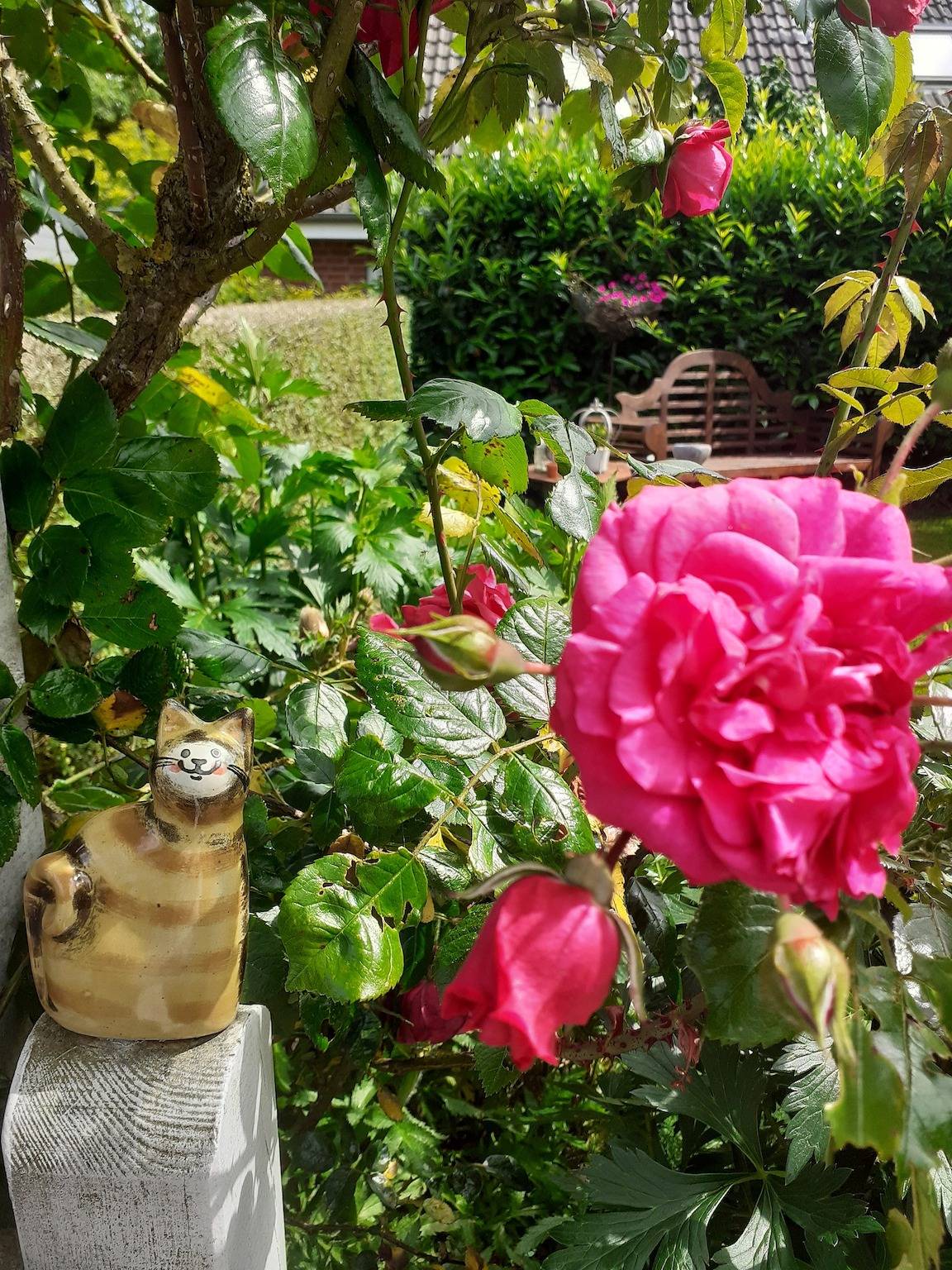 Ganze Ferienwohnung, Martens in Groß Wittensee, Rendsburg-Eckernförde