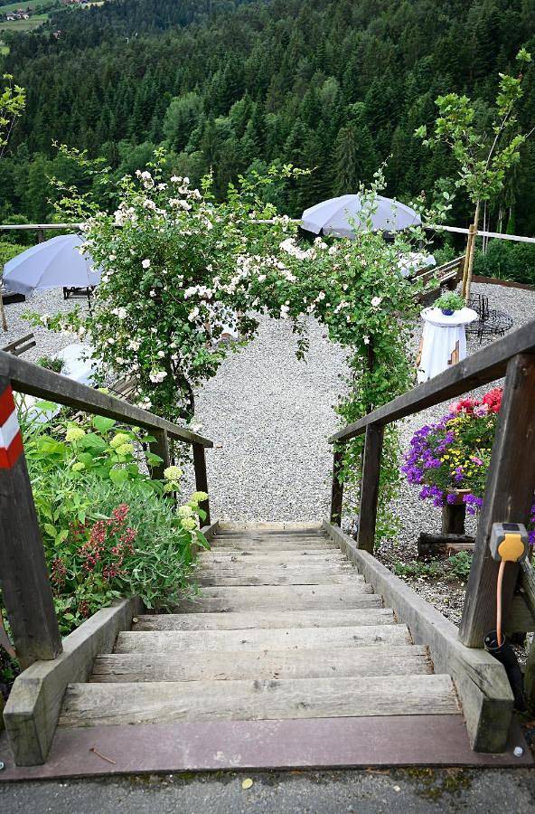 Hotel für 2 Personen, mit Terrasse und Garten sowie Ausblick, mit Haustier - 1