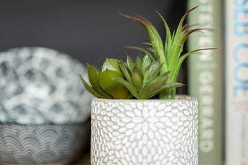 Holiday Rental for 8 People in Saundersfoot, Pembrokeshire, Photo 4