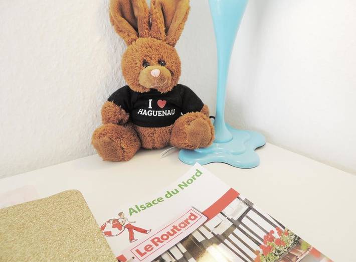 Gîte pour 2 personnes, avec balcon à Haguenau - 4