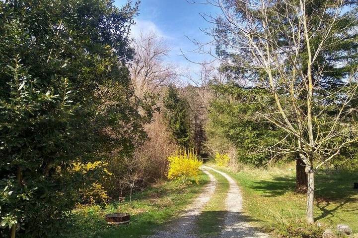 Location de vacances pour 4 personnes, avec Jacuzzi ainsi que Terrasse et Jardin à Albières