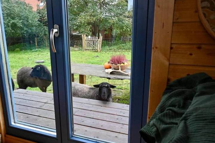Autarker Schäferwagen mit Kamin & Sauna ganzjährig nutzbar im Naturgarten in Dargun, Mecklenburgische Seenplatte