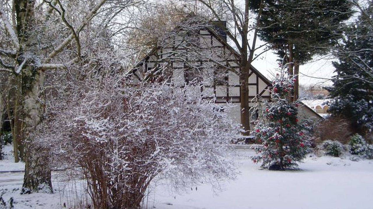 Ganze Ferienwohnung, Ferienwohnung für 2 Personen (50 m²) in Buxtehude in Buxtehude, Altes Land Stade