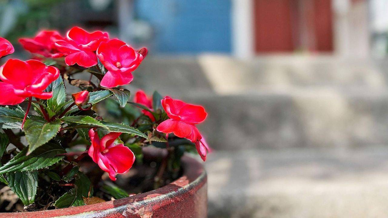 Ferienhaus für 8 Personen (120 m²) in Örsjö in Emmaboda, Nybro und Umgebung