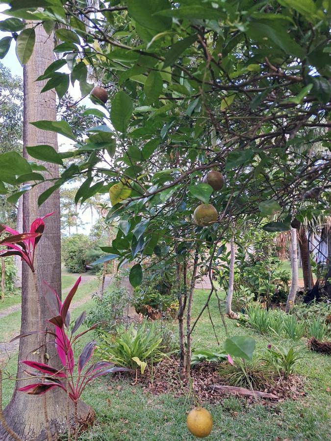 Location de vacances pour 2 personnes, avec piscine ainsi que jardin et terrasse dans Piton de la Fournaise - 3